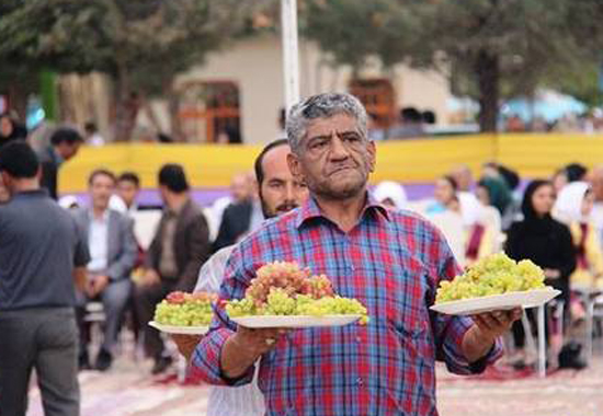 عکس؛ شکوه دانه های انگور در جشنواره ارومیه