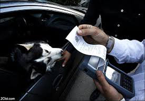 توقیف سواری سمند با 111 تخلف