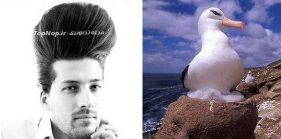مدل مو های عجیب و غریب و افتضاح + تصاویر
