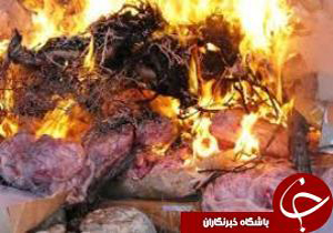 بیش از 200 کیلوگرم فرآورده های خام دامی نابود شد