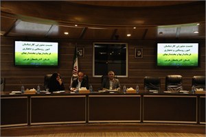 برگزاری نشست مشورتی کارشناسان امور روستایی و دهیاری های استان