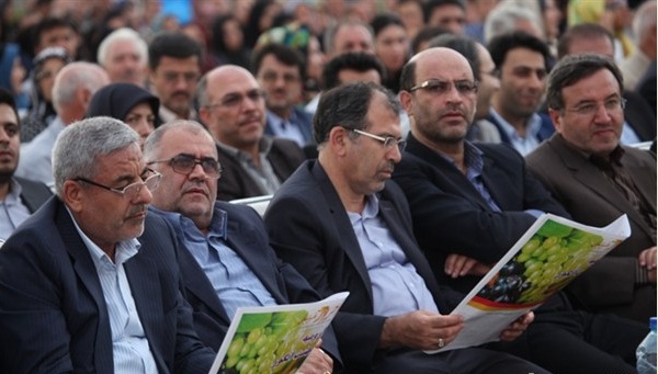 برگزاری جشنواره انگور+تصاویر