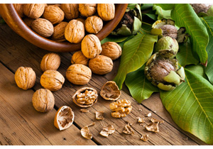 پیش‌بینی تولید 38 هزار تن گردو در استان همدان