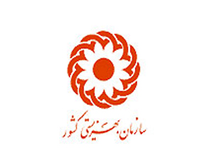 برگزاری اولین همایش خشونت علیه زنان در آذرماه