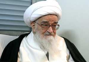 مجلس از نظرات اندیشمندان اسلامی و حوزه علمیّه نهایت استفاده را ببرد