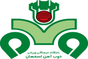 از چتر بازی تا تعلیق در نصف جهان