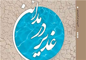 استقبال مردم از کتاب «غدیر در مدائن»
