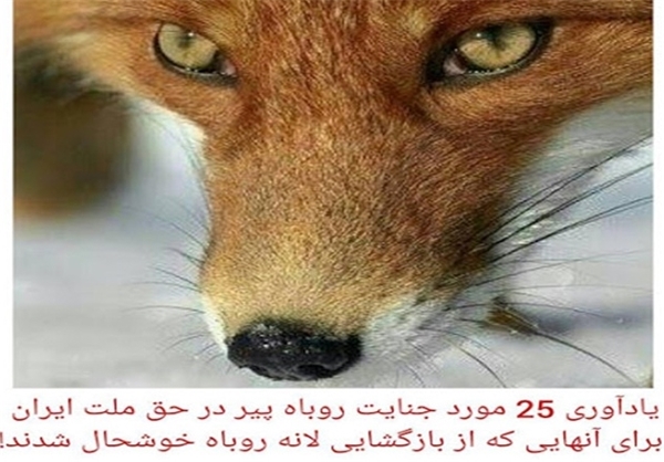 انگلیس: چرا به من می&zwnj;گویید روباه؟