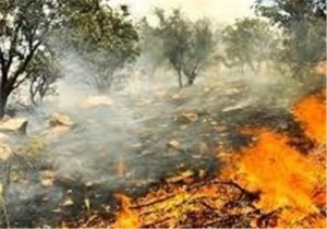 مهار آتش سوزی پشت کوه شلم در اطراف ایلام