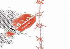 کتاب «لطفاً ساکت» بازگو کننده زندگی مادران انتظار