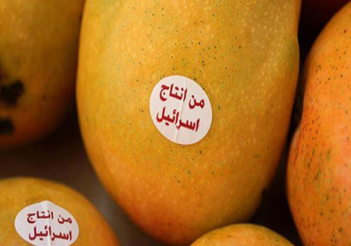 کشورهایی که اقتصاد اسرائیل را رونق می&zwnj;دهند /آمریکایی&zwnj;ها چگونه تجارت در مناطق &laquo;کویز&raquo; را مدیریت می&zwnj;کنند؟