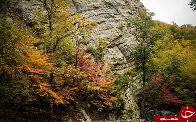 طبیعت زیبای پاییزی جنگل گلستان