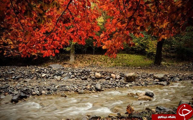 طبیعت زیبای پاییزی جنگل گلستان