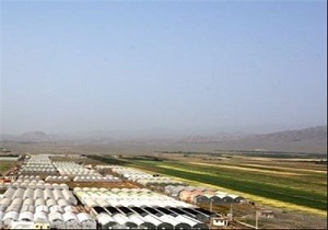فعالیت 560 مجتمع کشاورزی در کشور