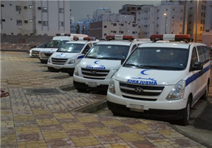 جدیدترین آمار امداد و انتقال حجاج ایرانی در حج