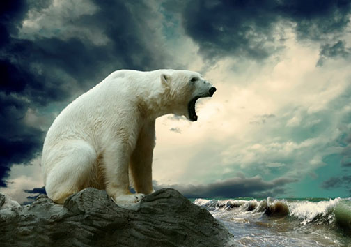 رازهای قاره قطب جنوب + تصاویر