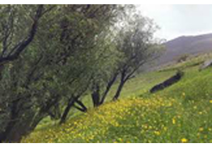 آرامش آسمان در روزهای پایانی تابستان