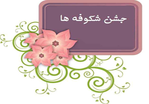 شکوفه های ایران به مدرسه رفتند