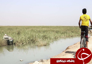 حجم مشکلات تالاب شادگان بسیار زیاد است