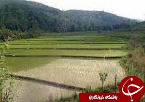 تخریب مهمان پذیرهای غیرمجاز در صومعه سرا