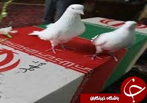 شناسایی و ثبت 250 شهید اصناف در گیلان