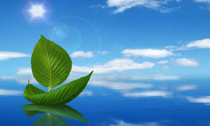 تهذیب نفس راه رسیدن به خود‌سازی