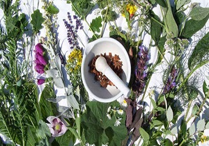 کشف و شناسایی ۲ هزار و ۱۰۰ گیاه دارویی در کردستان