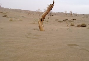 ریگزاری هرمی در دل کویر خراسان جنوبی