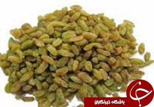 صادارات کشمش قزوین با نام تجاری برند تکوین