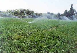 صرفه جویی در مصرف آب با اجرای سیستم های آبیاری نوین