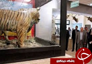 بازدیدرایگان از موزه تنوع زیستی قزوین