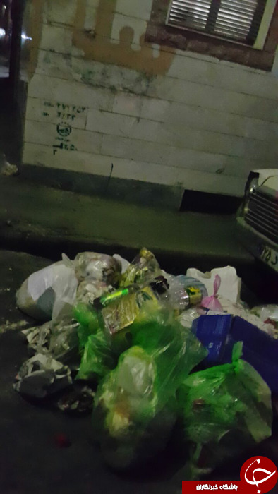 مهمان ناخوانده شهر !