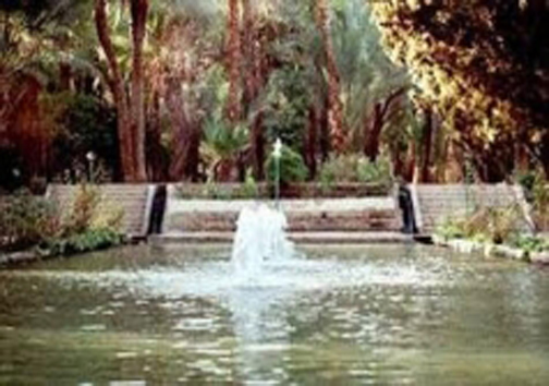 باغی رویایی در خراسان جنوبی+تصاویر