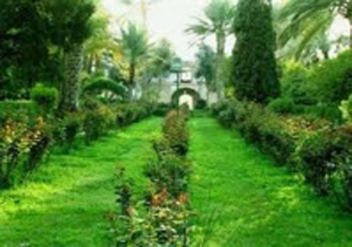 باغی رویایی در خراسان جنوبی+تصاویر