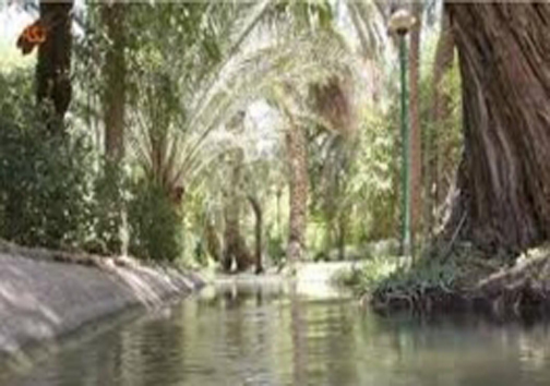 باغی رویایی در خراسان جنوبی+تصاویر