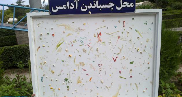 جا آدامسی در چالوس + عکس