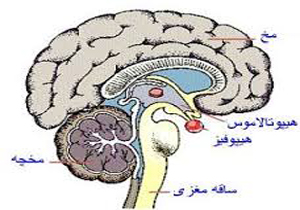 تومور هیپوفیز باعث کوری می‌شود