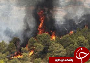افزایش پنجاه و نه درصدی آتش سوزی درمراتع قزوین