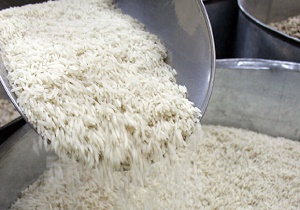 ادامه کاهش واردات برنج