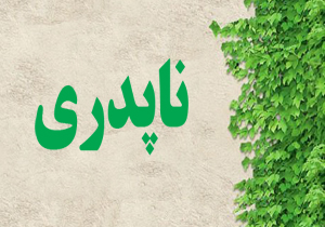 ناپدری می‌تواند جای خالی پدر را پر کند؟