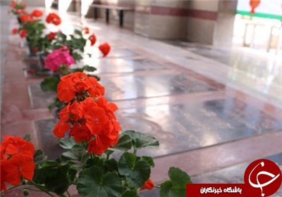 مزار شهدای مازندران گلباران می‌شود
