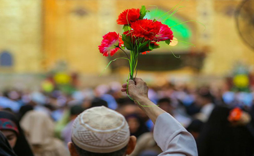 تشرف میلیون&zwnj;ها شیعه با شاخه&zwnj;های گل به حرم امیرالمومنین(ع) + تصاویر