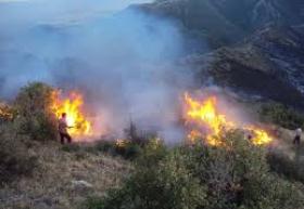 آتش سوزی در پارک ملی گلستان