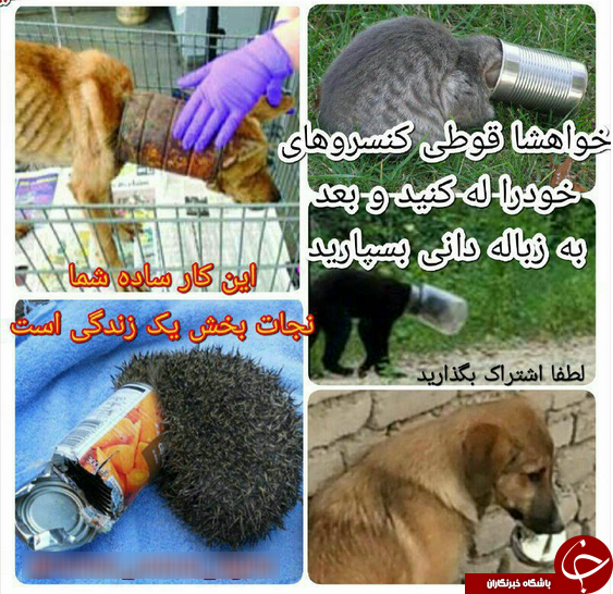 كمپين &laquo;نَه&raquo; به زباله ريختن + عكس
