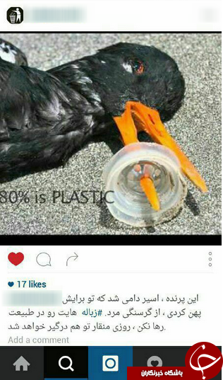 كمپين &laquo;نَه&raquo; به زباله ريختن + عكس
