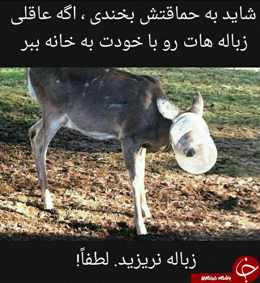 كمپين &laquo;نَه&raquo; به زباله ريختن + عكس