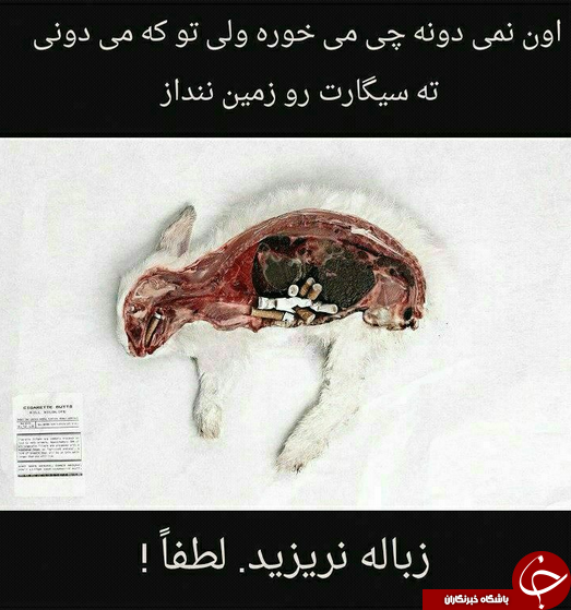 كمپين &laquo;نَه&raquo; به زباله ريختن + عكس