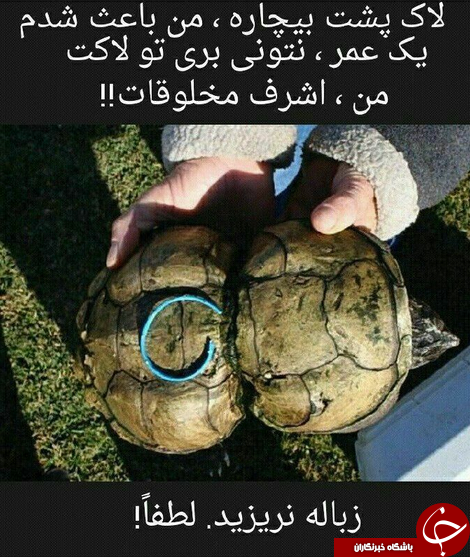 كمپين &laquo;نَه&raquo; به زباله ريختن + عكس