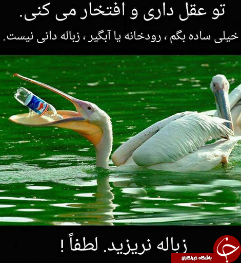 كمپين &laquo;نَه&raquo; به زباله ريختن + عكس