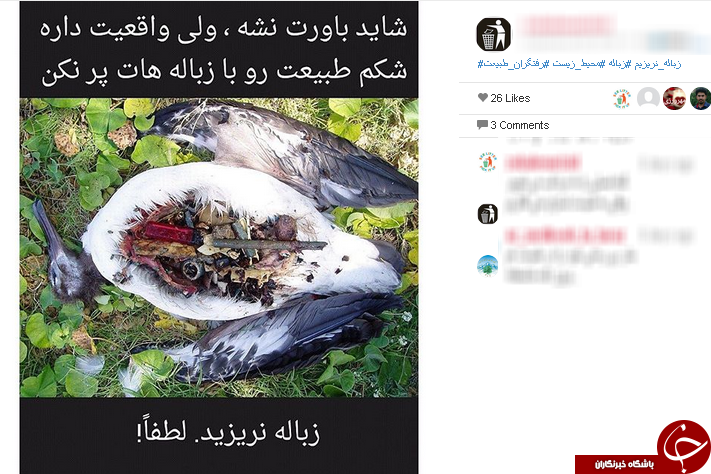 كمپين &laquo;نَه&raquo; به زباله ريختن + عكس